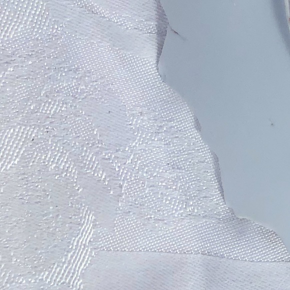 Retro KY Horse Plate Decorative Gold Edge Vintage Kentucky Souvenir State Plate! - Picture 5 of 6